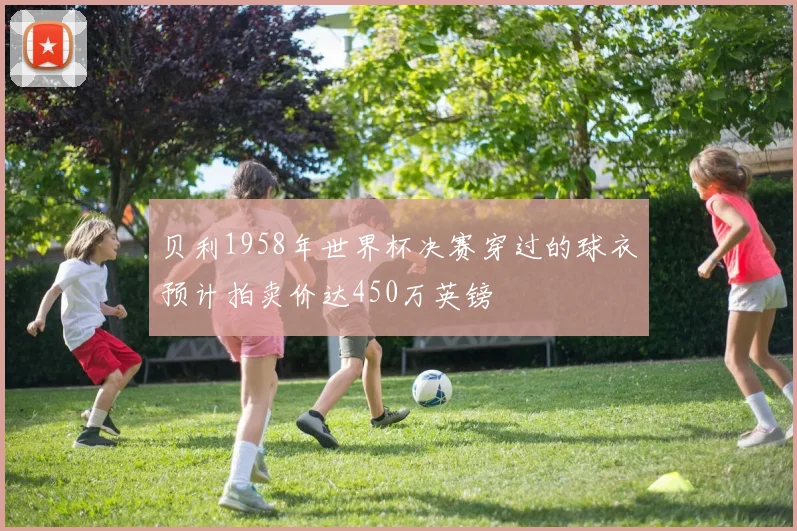 贝利1958年世界杯决赛穿过的球衣预计拍卖价达450万英镑