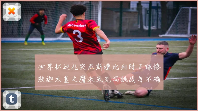 世界杯巡礼突尼斯遭比利时五球惨败迦太基之鹰未来充满挑战与不确定性
